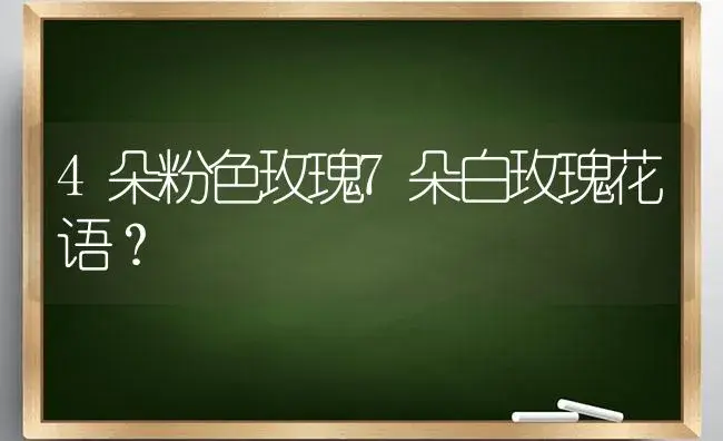 4朵粉色玫瑰7朵白玫瑰花语？ | 绿植常识