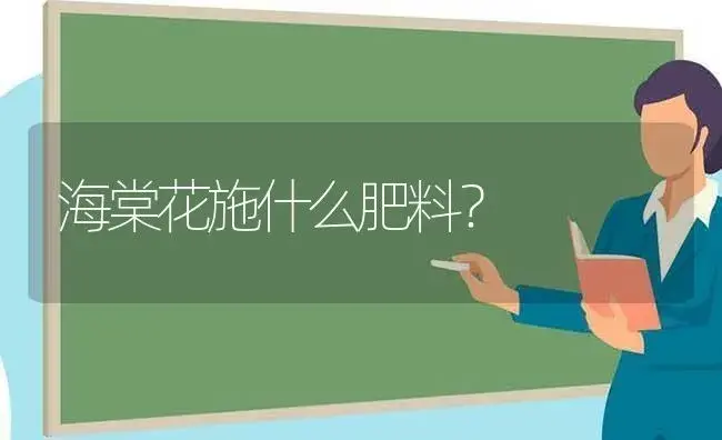 君子兰开花后剑怎么办？ | 绿植常识