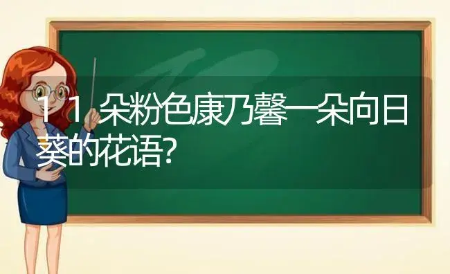 11朵粉色康乃馨一朵向日葵的花语？ | 绿植常识