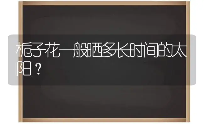 栀子花一般晒多长时间的太阳？ | 绿植常识