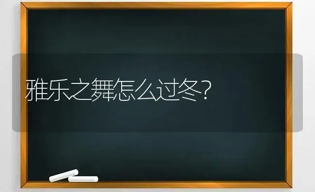 雅乐之舞怎么过冬？ | 多肉养殖