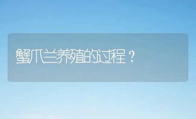 蟹爪兰养殖的过程？ | 多肉养殖