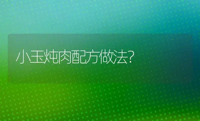 小玉炖肉配方做法？ | 多肉养殖