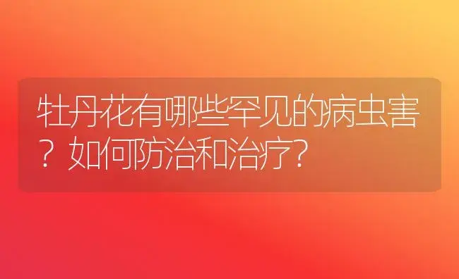 牡丹花有哪些罕见的病虫害？如何防治和治疗？ | 家庭养花