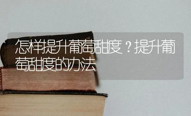 怎样提升葡萄甜度？提升葡萄甜度的办法 | 果木种植