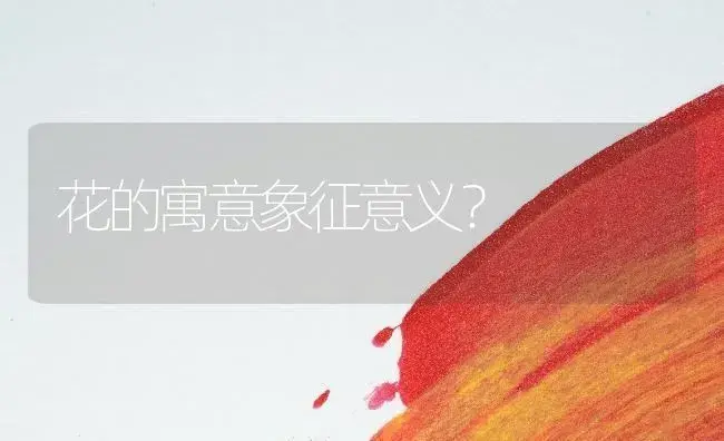 花的寓意象征意义？ | 绿植常识