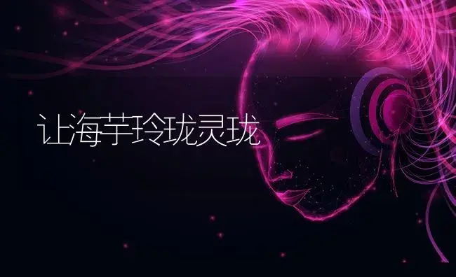 让海芋玲珑灵珑 | 特种种植