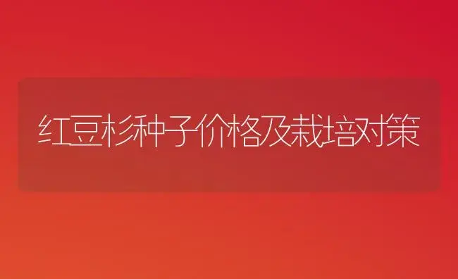 红豆杉种子价格及栽培对策 | 家庭养花