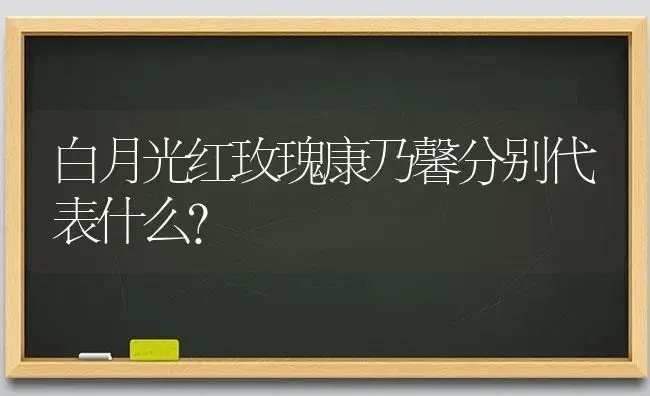 新鲜的勿忘我拿回来怎么处理？ | 绿植常识