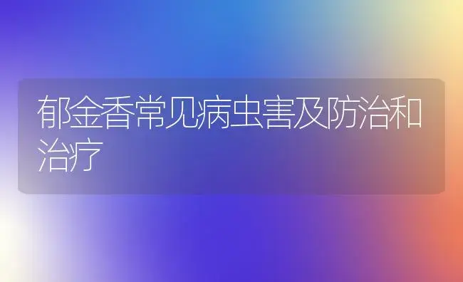 郁金香常见病虫害及防治和治疗 | 家庭养花