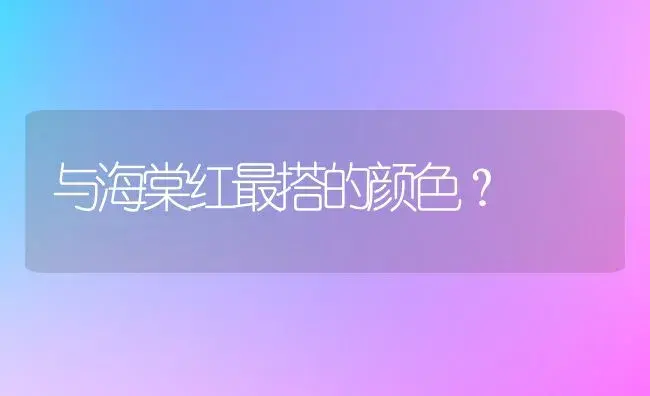 与海棠红最搭的颜色？ | 绿植常识