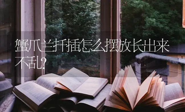 蟹爪兰扦插怎么摆放长出来不乱？ | 多肉养殖