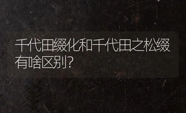 千代田缀化和千代田之松缀有啥区别？ | 多肉养殖