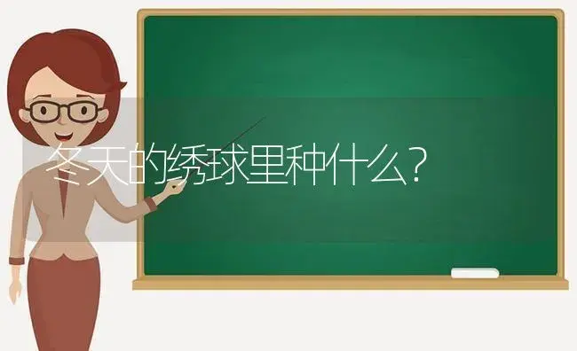 冬天的绣球里种什么？ | 绿植常识