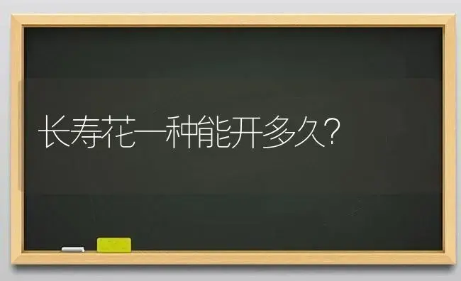 长寿花一种能开多久？ | 多肉养殖