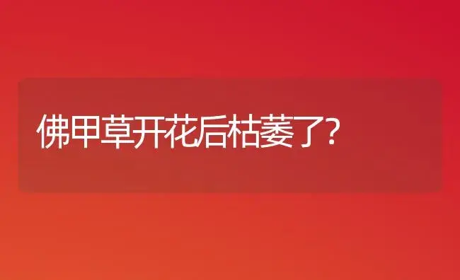 佛甲草开花后枯萎了？ | 多肉养殖