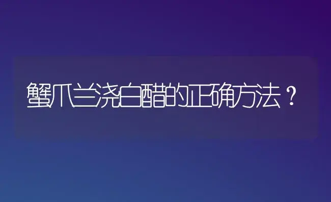 蟹爪兰浇白醋的正确方法？ | 多肉养殖