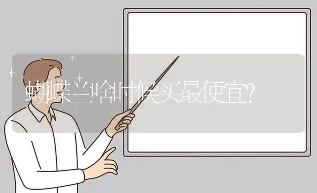 蝴蝶兰冬天怎么养才能顺利过冬？ | 绿植常识