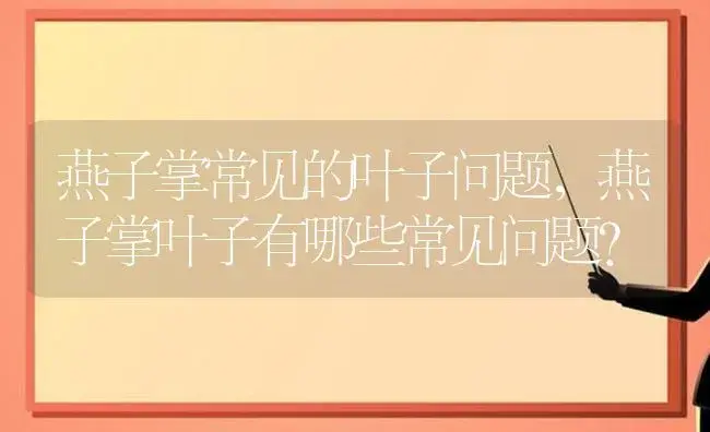 燕子掌常见的叶子问题,燕子掌叶子有哪些常见问题？ | 多肉养殖