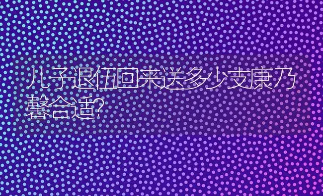 儿子退伍回来送多少支康乃馨合适？ | 绿植常识