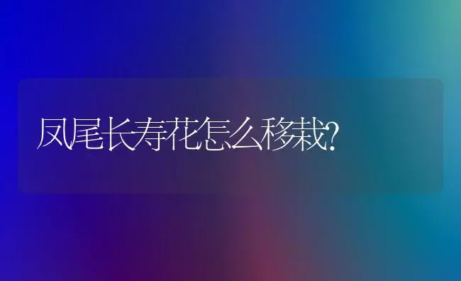 凤尾长寿花怎么移栽？ | 多肉养殖