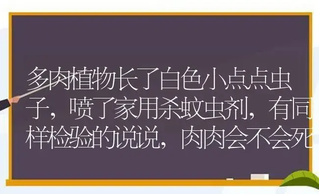 多肉植物长了白色小点点虫子,喷了家用杀蚊虫剂,有同样检验的说说,肉肉会不会死？ | 多肉养殖