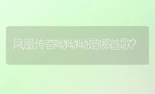凤凰传奇呦呦呦是哪首歌？ | 多肉养殖
