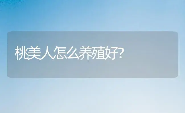 桃美人怎么养殖好？ | 家庭养花