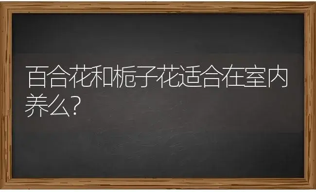 百合花和栀子花适合在室内养么？ | 绿植常识