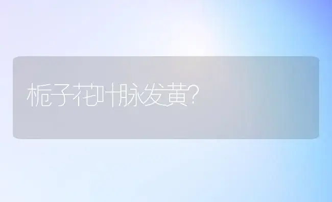 栀子花叶脉发黄？ | 绿植常识