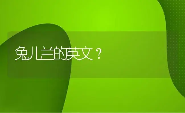 兔儿兰的英文？ | 绿植常识