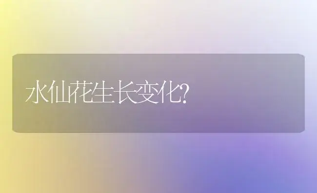 水仙花生长变化？ | 绿植常识