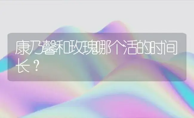 康乃馨和玫瑰哪个活的时间长？ | 绿植常识