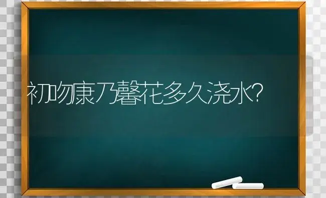 初吻康乃馨花多久浇水？ | 绿植常识