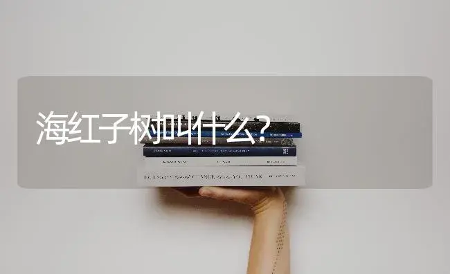 海红子树叫什么？ | 绿植常识