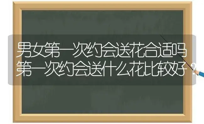 男女第一次约会送花合适吗第一次约会送什么花比较好？ | 绿植常识