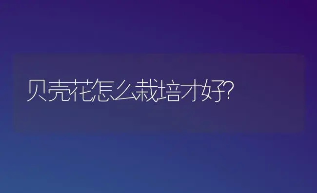 贝壳花怎么栽培才好？ | 家庭养花