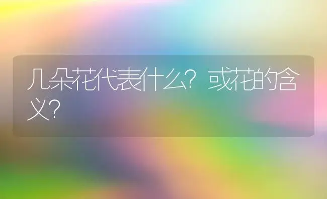 几朵花代表什么？或花的含义？ | 绿植常识