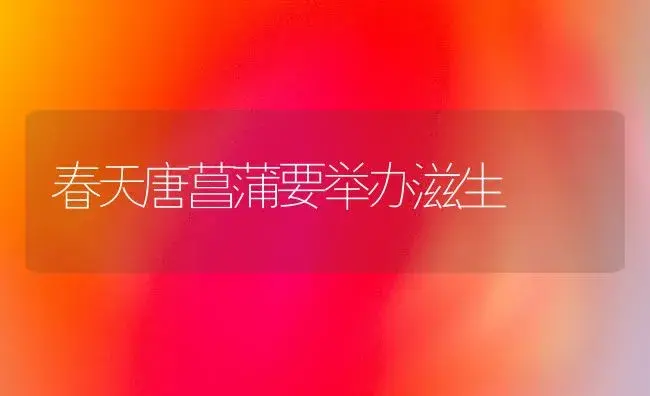 春天唐菖蒲要举办滋生 | 家庭养花