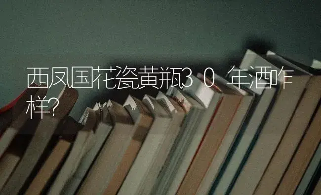西凤国花瓷黄瓶30年酒咋样？ | 绿植常识