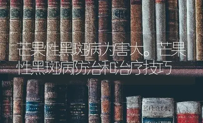 芒果性黑斑病为害大。芒果性黑斑病防治和治疗技巧 | 果木种植