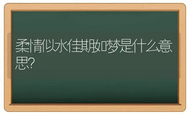 柔情似水佳期如梦是什么意思？ | 多肉养殖