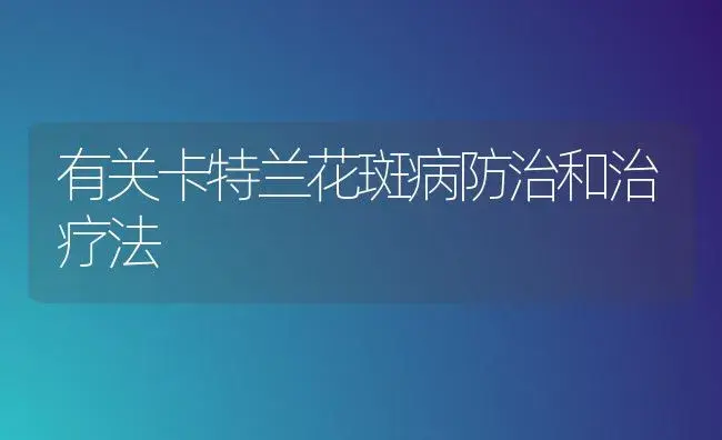 有关卡特兰花斑病防治和治疗法 | 家庭养花