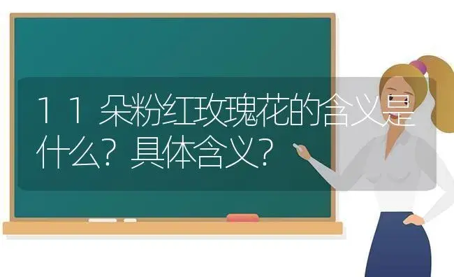 11朵粉红玫瑰花的含义是什么？具体含义？ | 绿植常识