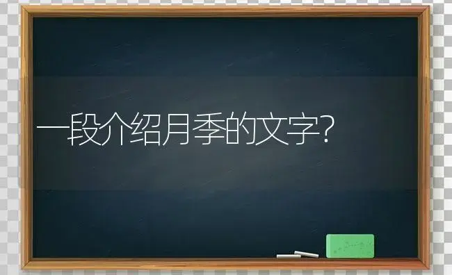 一段介绍月季的文字？ | 绿植常识