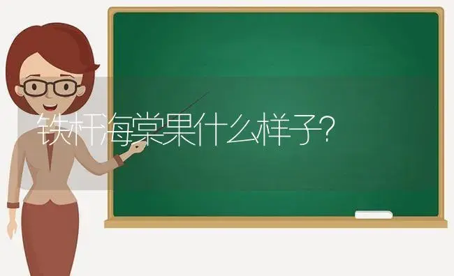 铁杆海棠果什么样子？ | 绿植常识