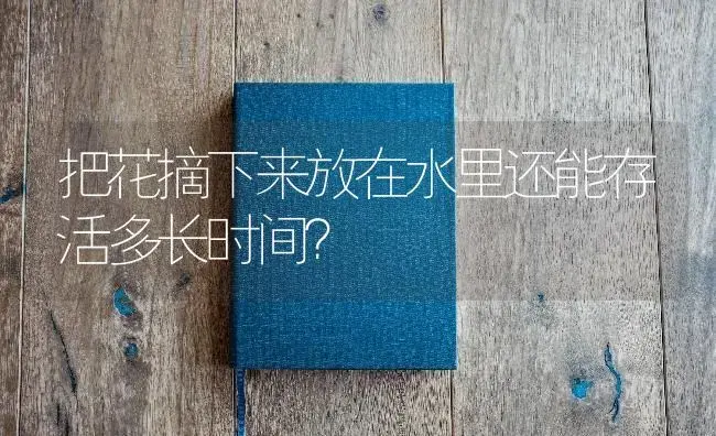 把花摘下来放在水里还能存活多长时间？ | 绿植常识