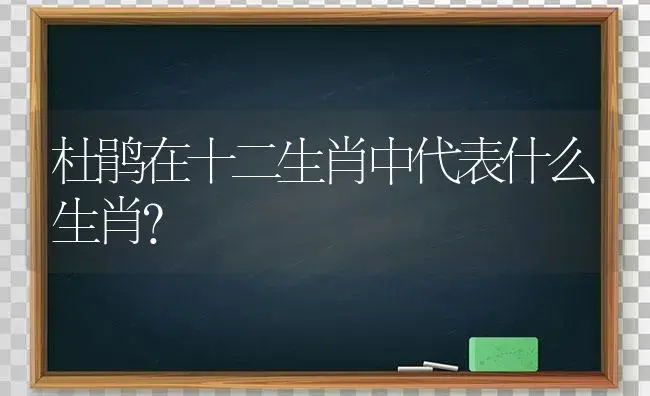 杜鹃在十二生肖中代表什么生肖？ | 绿植常识