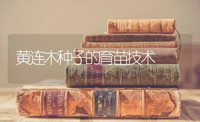 黄连木种子的育苗技术 | 特种种植