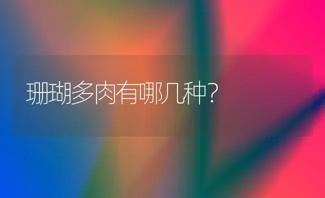 珊瑚多肉有哪几种？ | 多肉养殖